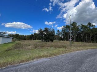 Bay Place Ct LOT 12, Ocklawaha, FL 32179