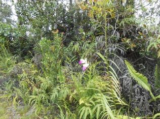 23rd Ave LOT 221, Keaau, HI 96749