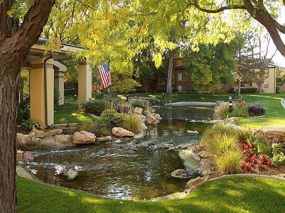 pond
