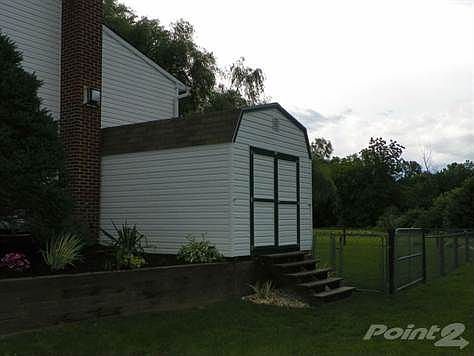 520 Cleona Blvd shed