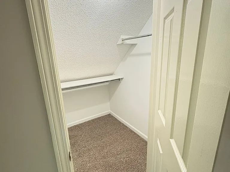 1703 Bryn Mawr Cv — Photo 29