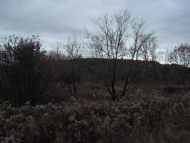 2nd image of 0 CALLAWAY Road