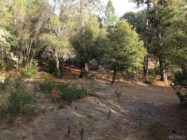 2nd image of 0 Lumpkin Rd