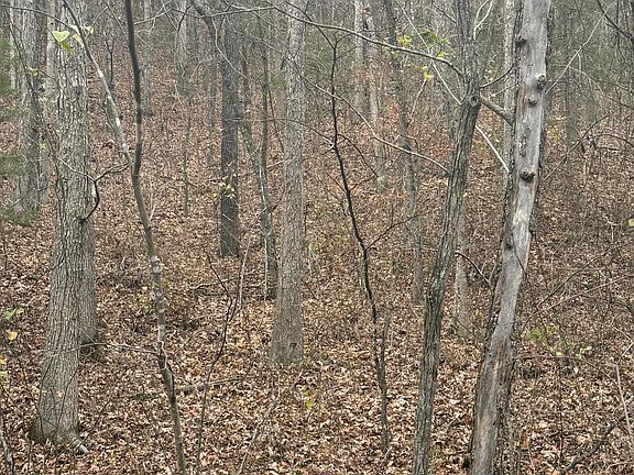 3rd image of 000 County Road 19-301