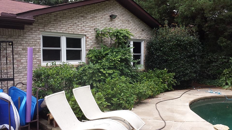 windows from kitchen & LR