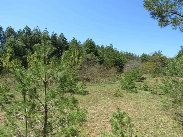 40 Acres Off Snowmobile Trl #133, Mohawk, MI 49950