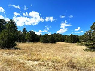 1763 6th Trl, Cotopaxi, CO 81223