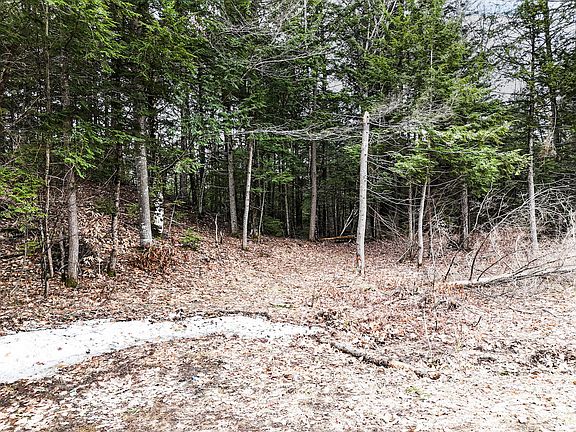 2nd image of 55 Salmon Road