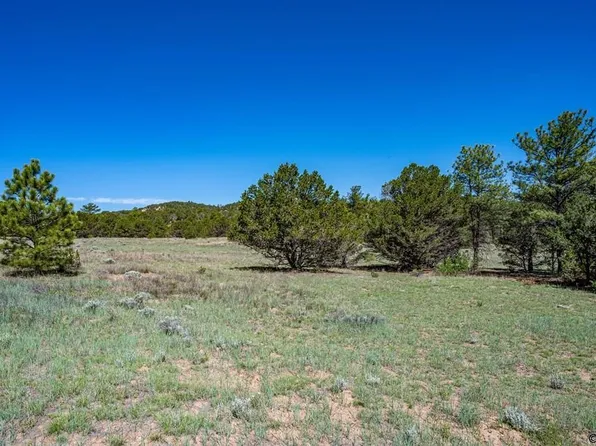 213 Thunderbird Rd, Cotopaxi, CO 81223