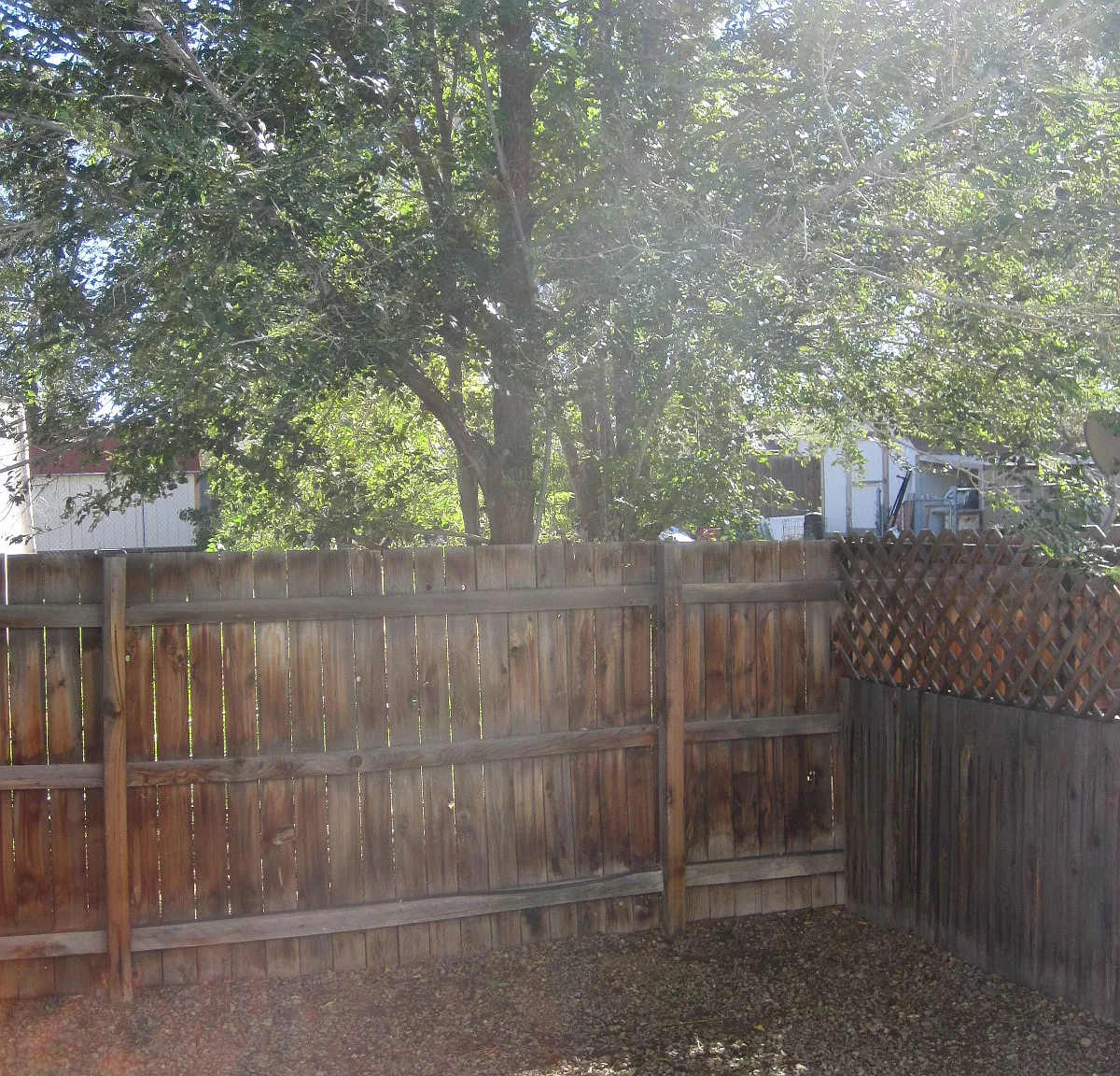 610 S Cedar Street — Photo 3