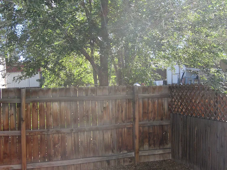 Back Patio Area