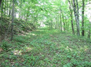 3.11 Cove Rd, Jasper, GA 30143