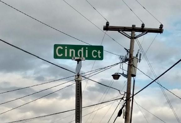 3rd image of 409 Cindi Ct