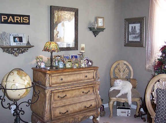 5th image of 528 Teresa Ln