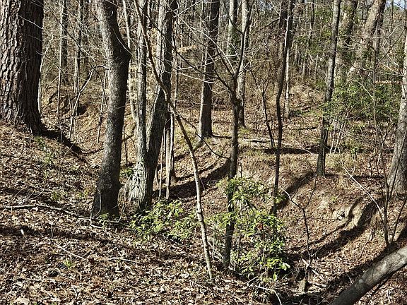 5th image of 271 Winningham Rd