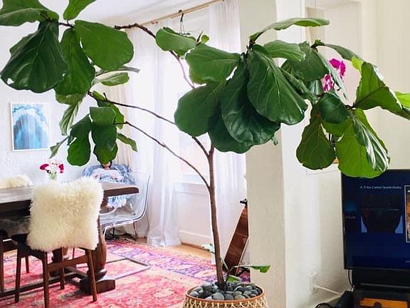 Dining room view from Living room