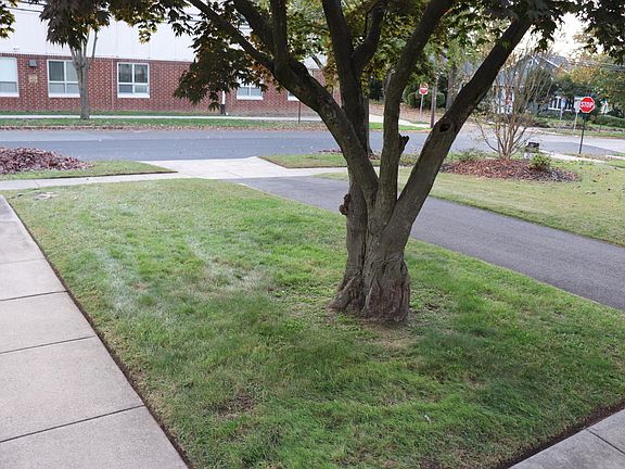 Front lawn