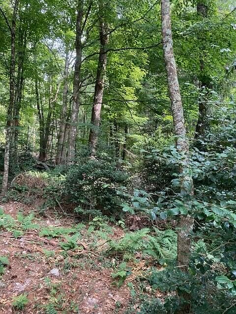1st image of 2286 Sam Snead Hwy