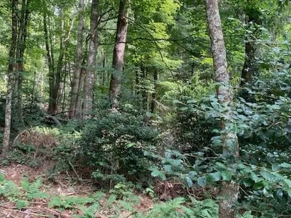 2286 Sam Snead Hwy, Hot Springs, VA 24445