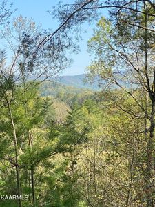 Upper Towee Ln, Reliance, TN, 37369