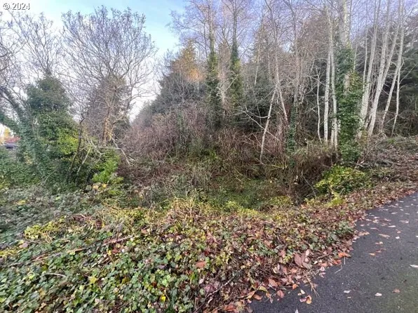 0 Elm Ave, Reedsport, OR 97467