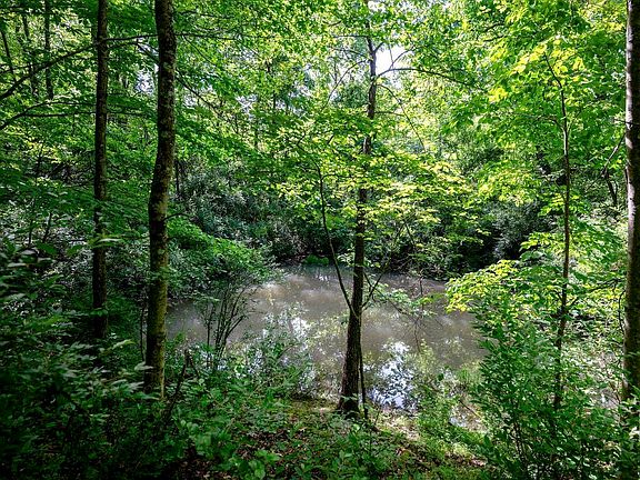 2nd image of LOT 1 Hecks Run Rd
