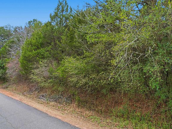 5th image of 0 Hulon Howard Rd