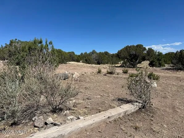 68 County Road 8171 N, Concho, AZ 85924