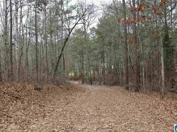 510 Mill Ridge Ln #10.370, Pell City, AL 35128