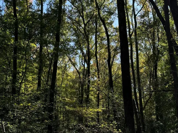 0 Union Church Road, Cameron, NC 28326