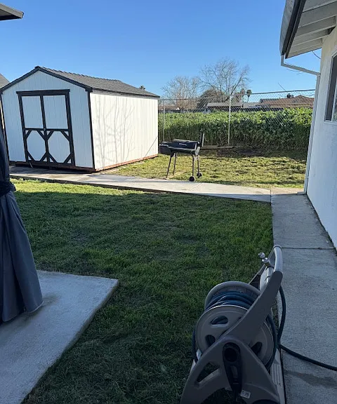 Back yard