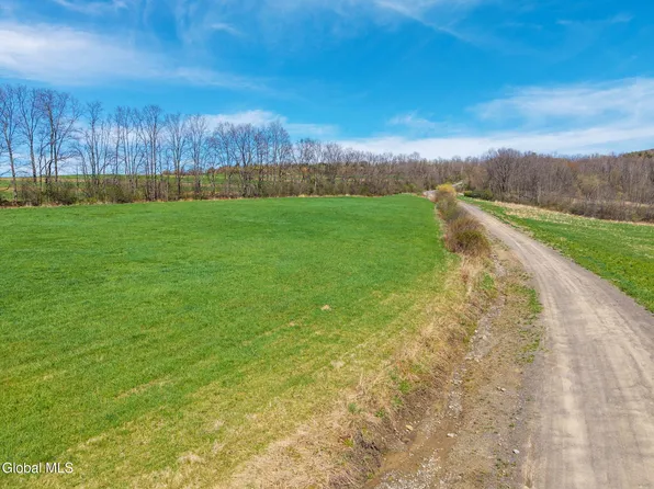 L40 Brown Road, Warnerville, NY 12187