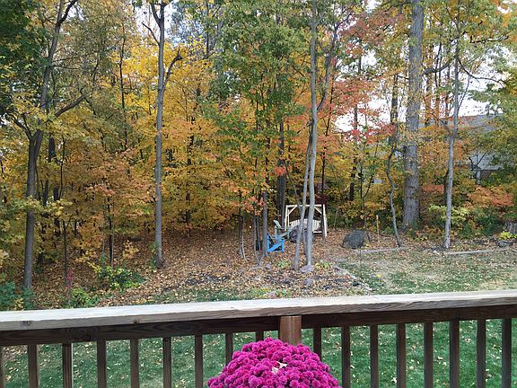 Back Yard - Fall