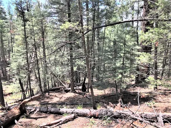 Sawyer Mesa Rd, Pecos, NM 87552