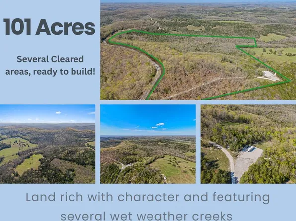 4100 State Highway H, Forsyth, MO 65653