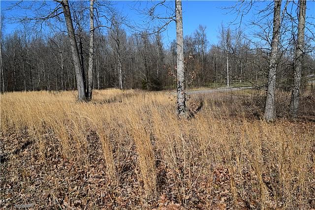 2nd image of 24 Spring Meadows Ln