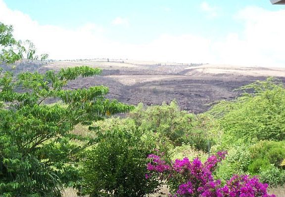 View From Backyard