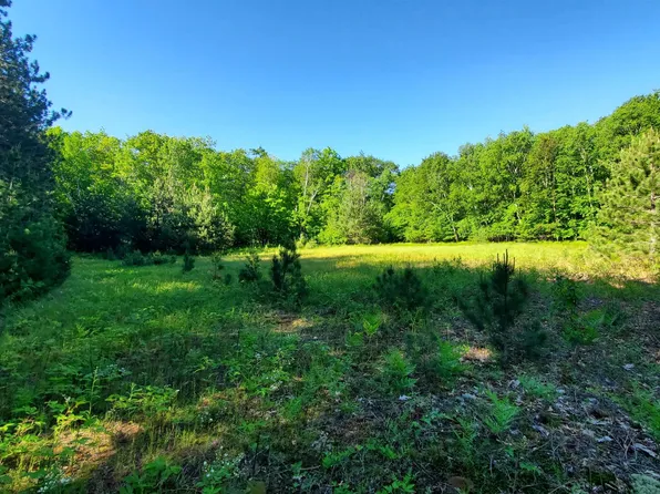 Rankinson Rd, Iron River, WI 54847