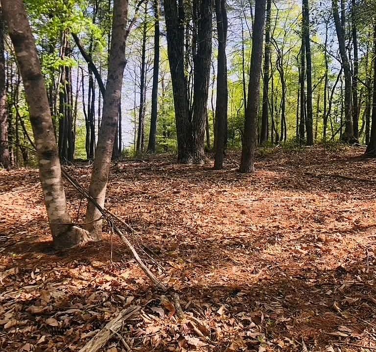 1st image of 7 Gold Run Ln #78