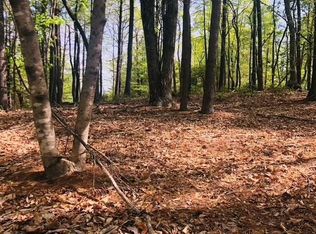 7 Gold Run Ln #78, Ferguson, NC 28624