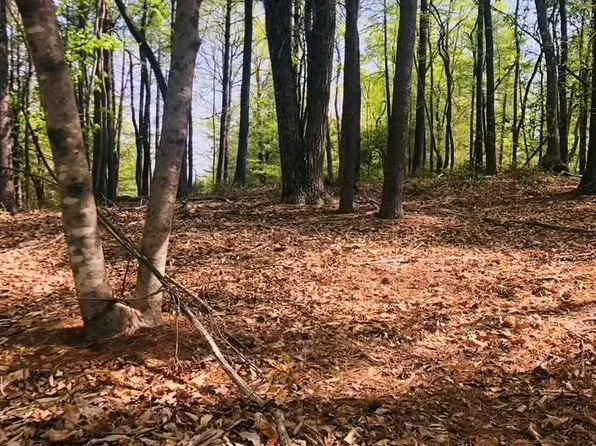 7 Gold Run Ln #78, Ferguson, NC 28624