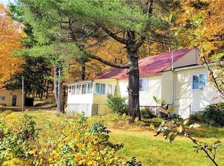 111 Porcupine Rd, Denning, NY 12740