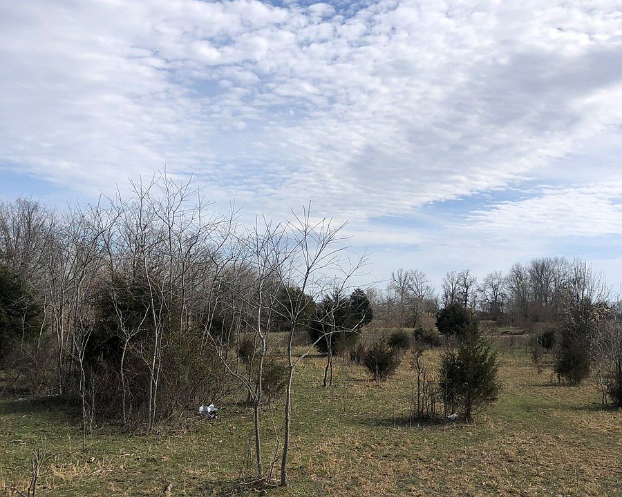 2738 State Highway Z, Bruner, MO 65620 Zillow