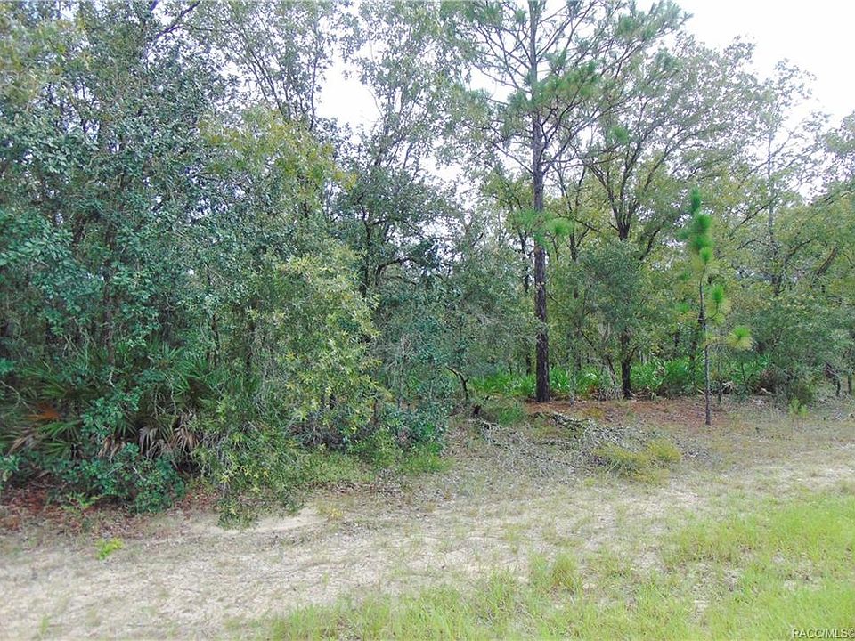 2nd image of 6587 N Bedstrow Blvd