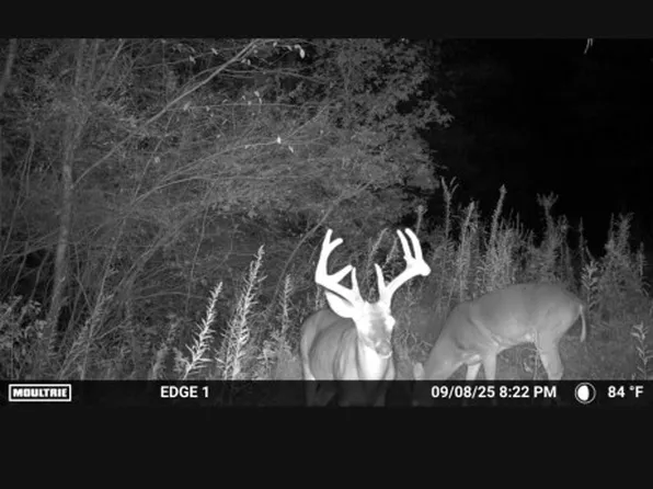 0 Souls Chapel Rd, Blountsville, AL 35031