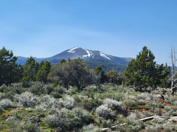 County Highway 3 13, Plush, OR 97637