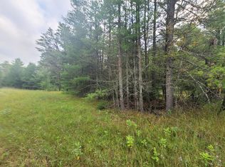 S Wakeley Bridge Rd, Grayling, MI 49738