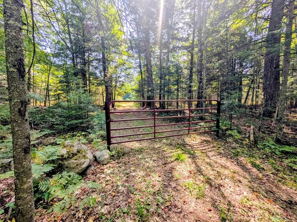 Pentoga Trl, Crystal Falls, MI 49920