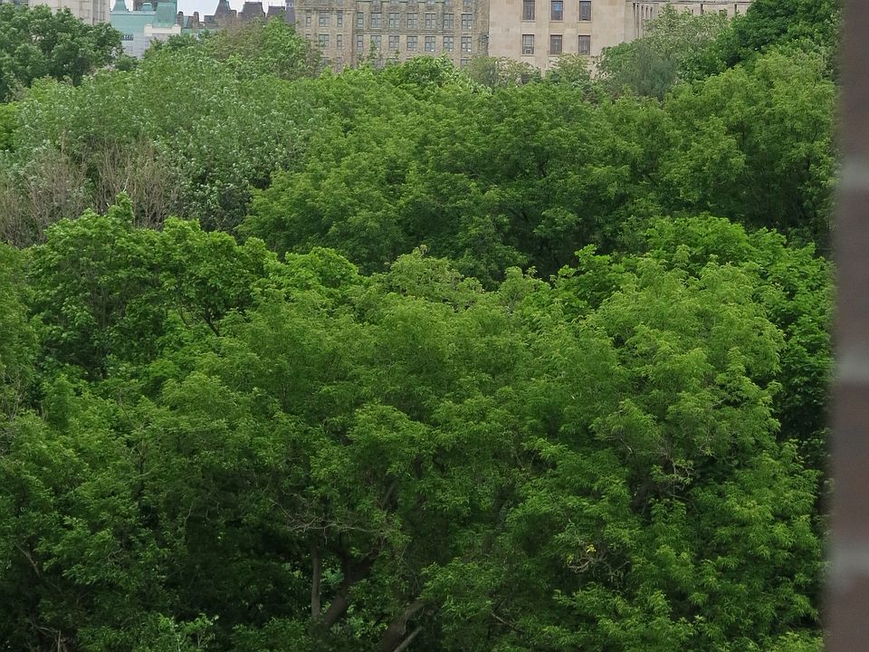 1st image of 300 Lett St