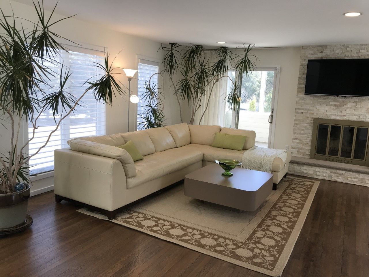  Living Room with Fireplace